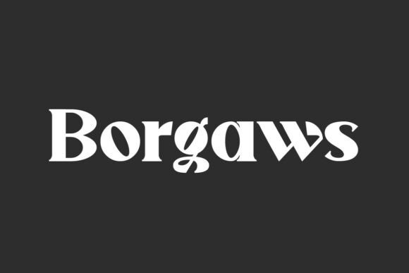 Borgaws Font for Bold Branding